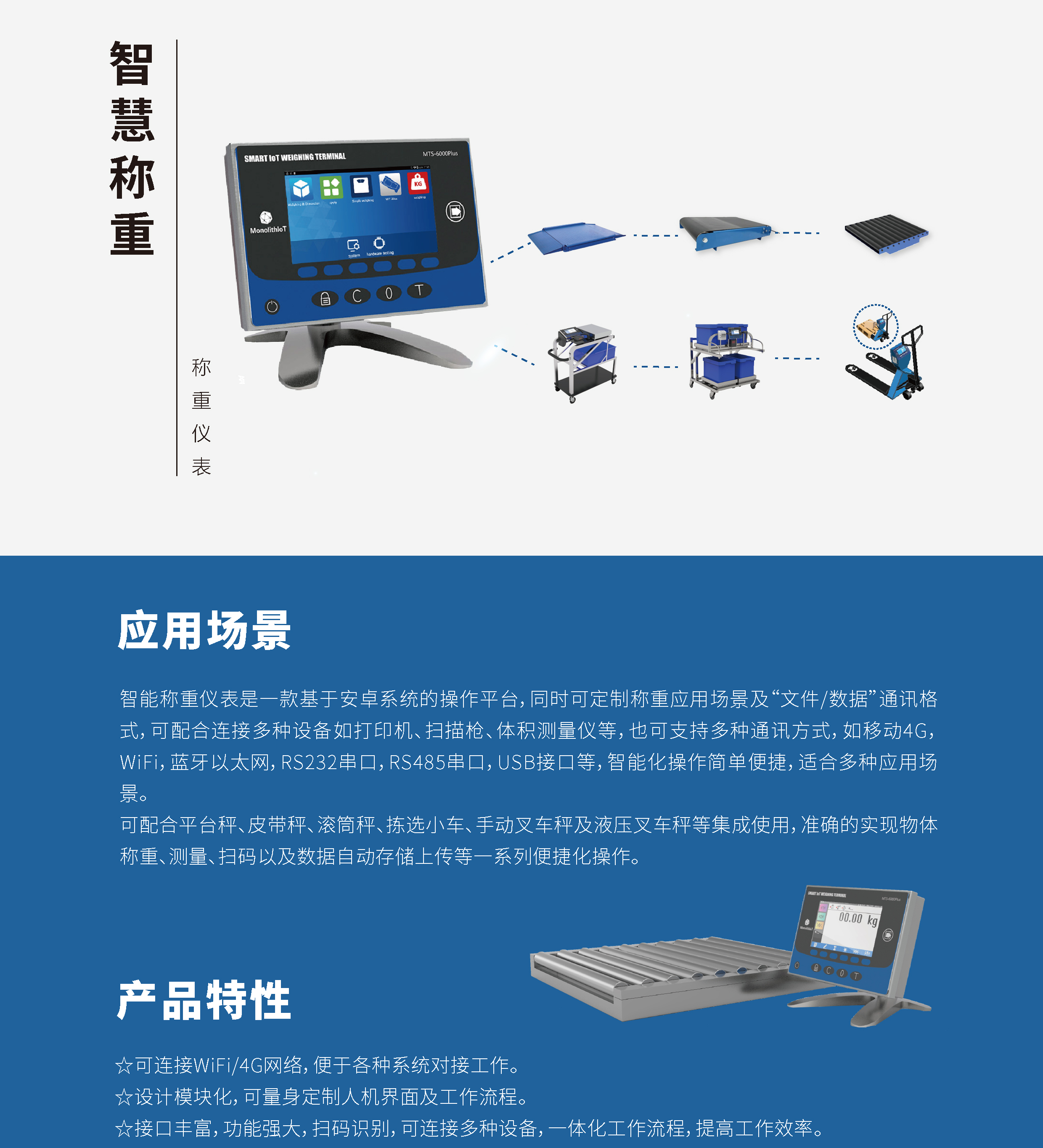 智能稱重儀表 MTS-6000