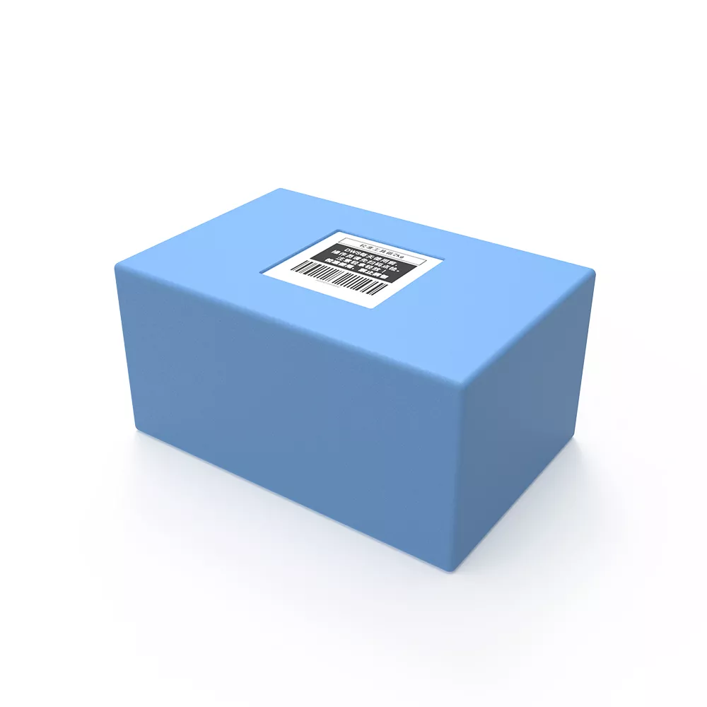 DWS测试用标准块2kg